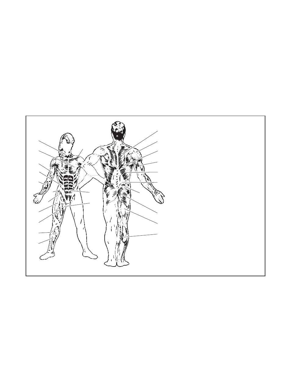 Weider WEBE05930 User Manual | Page 11 / 15