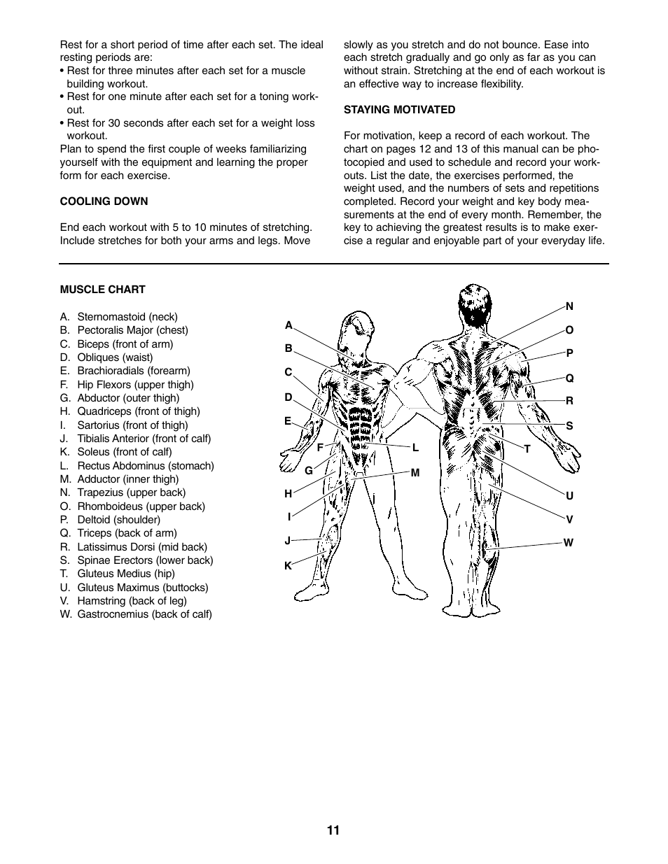 Weider WEBE13010 User Manual | Page 11 / 16