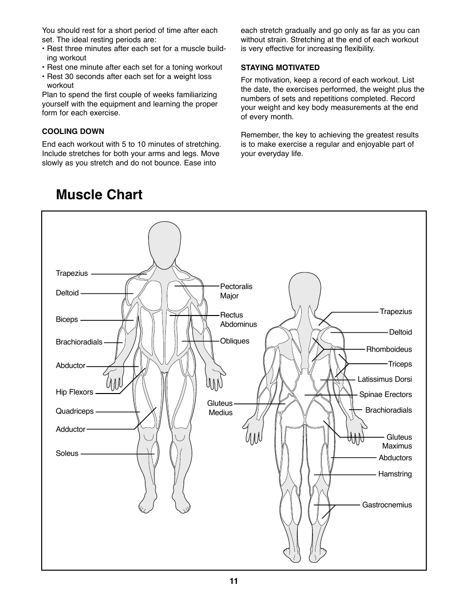 Muscle chart | Weider PRO 125 User Manual | Page 11 / 15