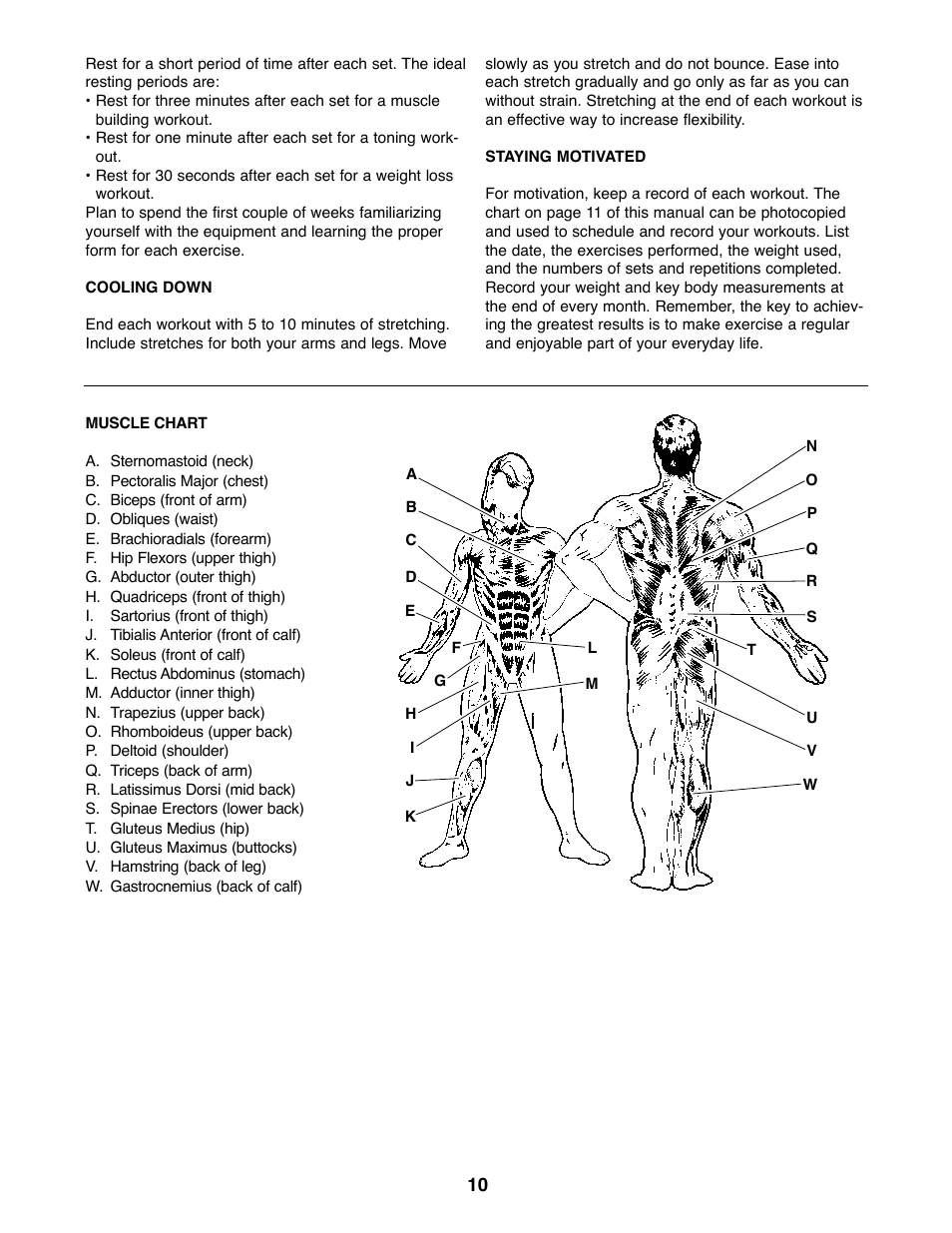 Weider WEBE05920 User Manual | Page 10 / 16