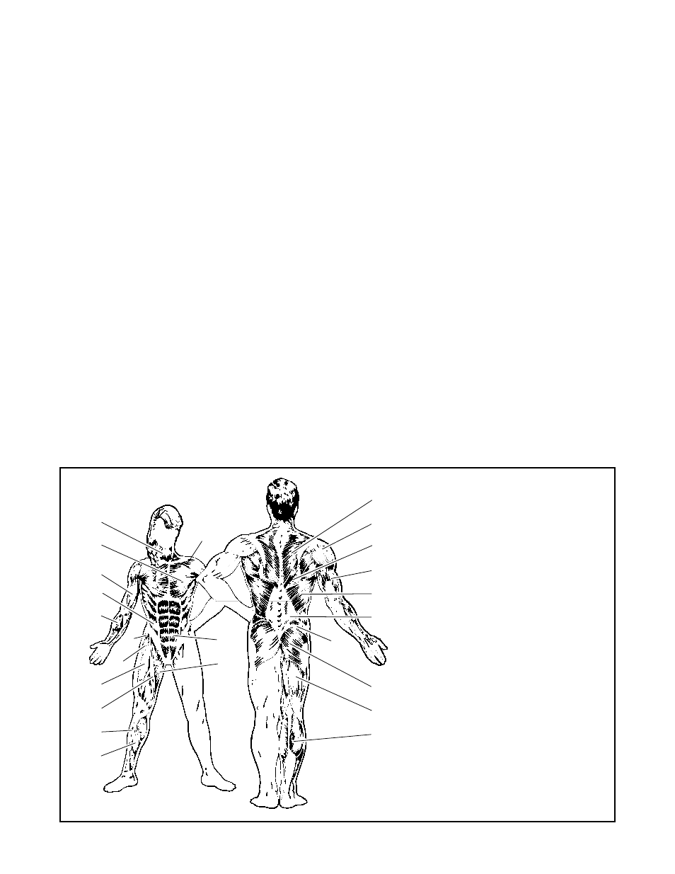 Weider 831.150340 User Manual | Page 11 / 15