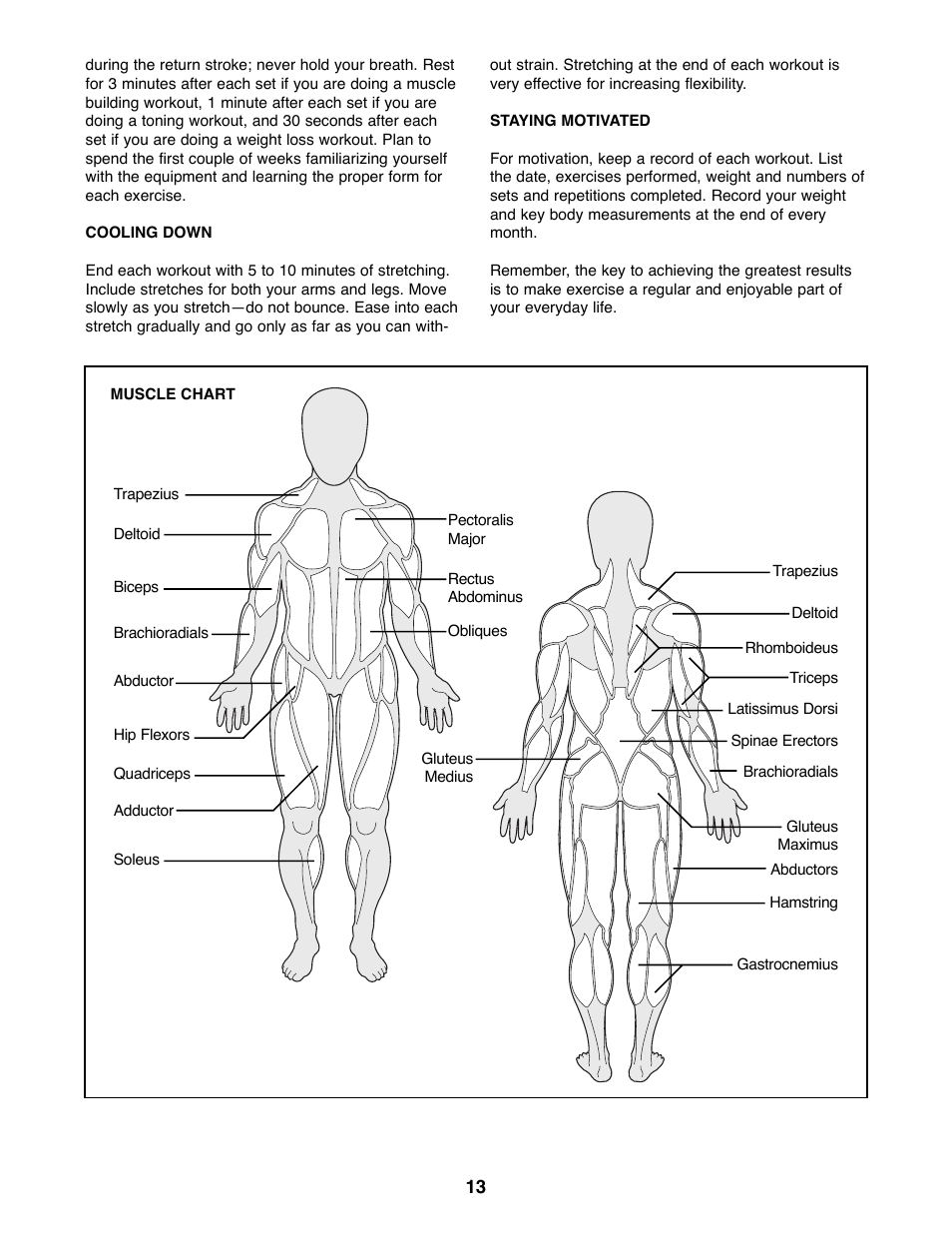 Weider WEBE06691 User Manual | Page 13 / 16