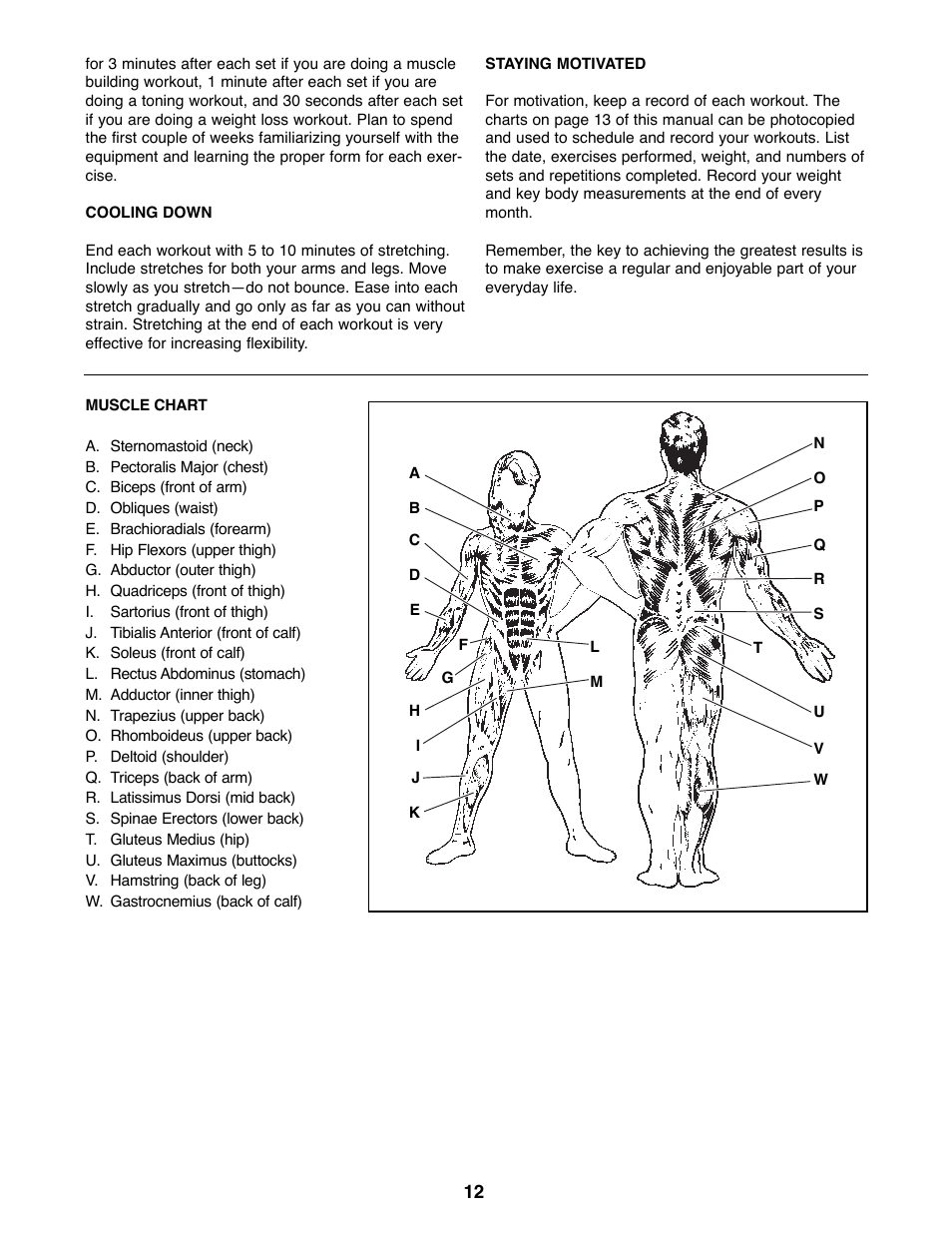 Weider WEBE09900 User Manual | Page 12 / 16