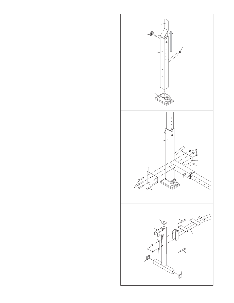 Weider 831.150310 User Manual | Page 7 / 16