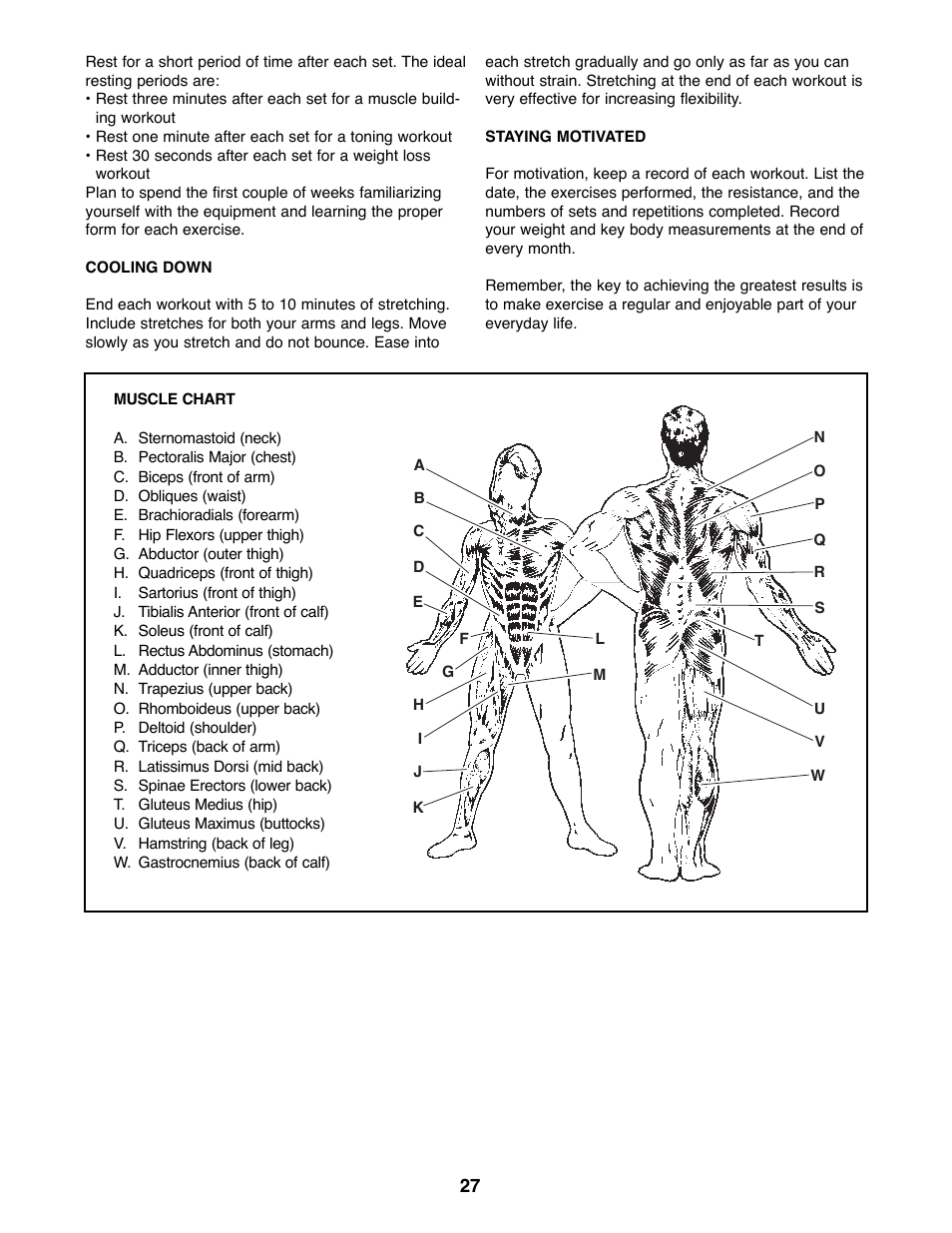 Weider 16.8ST User Manual | Page 27 / 33