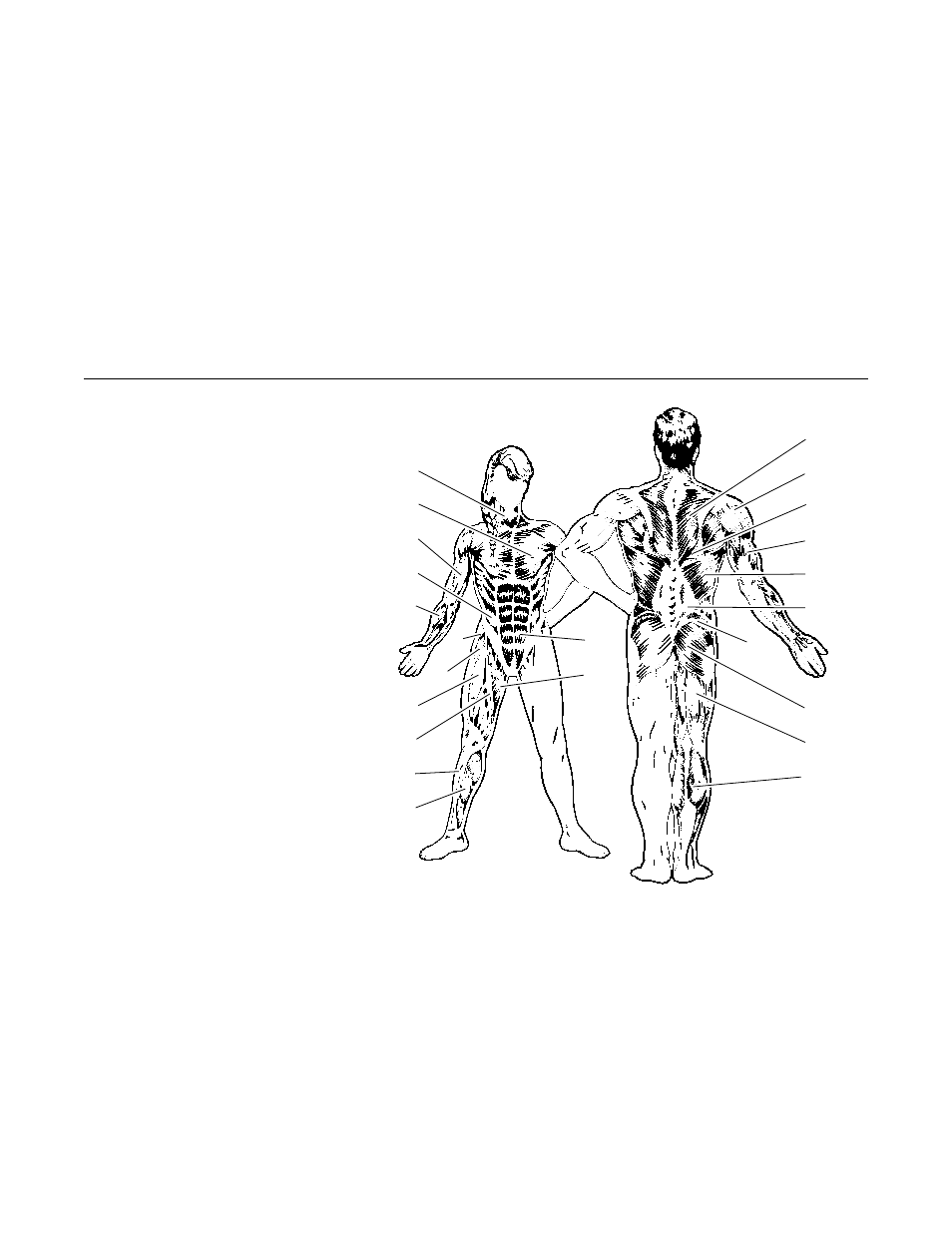 Weider WESY09321 User Manual | Page 19 / 24