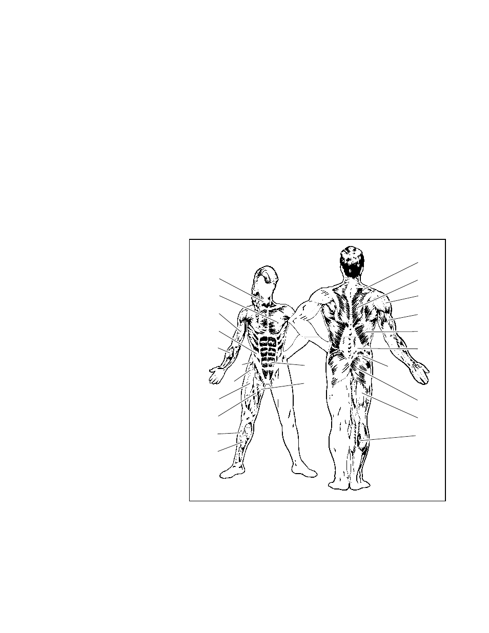 Weider PRO 408 User Manual | Page 14 / 19