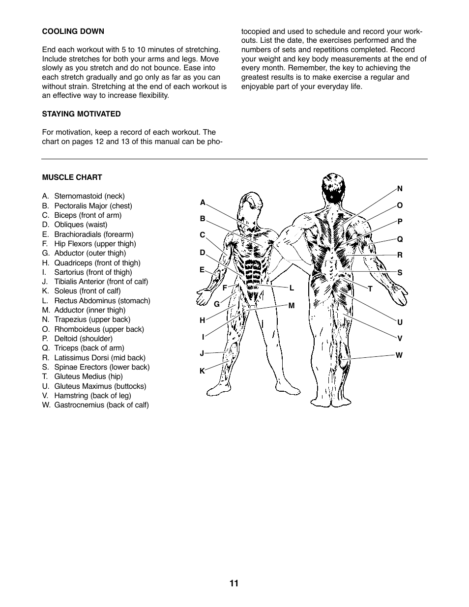 Weider 220 User Manual | Page 11 / 16
