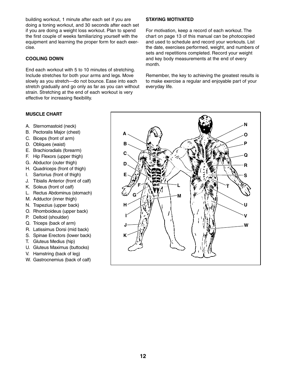 Weider 831.150360 User Manual | Page 12 / 16