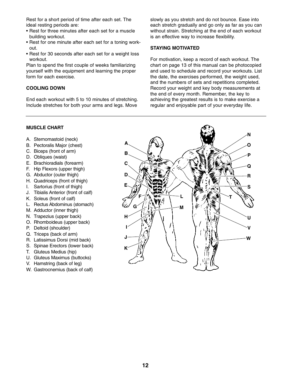 Weider WEBE15210 User Manual | Page 12 / 16
