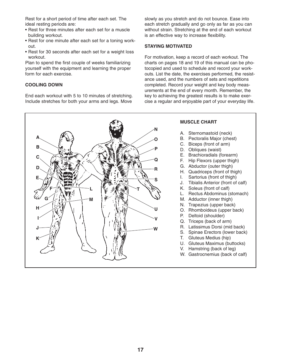 Weider WESY3873.2 User Manual | Page 17 / 24