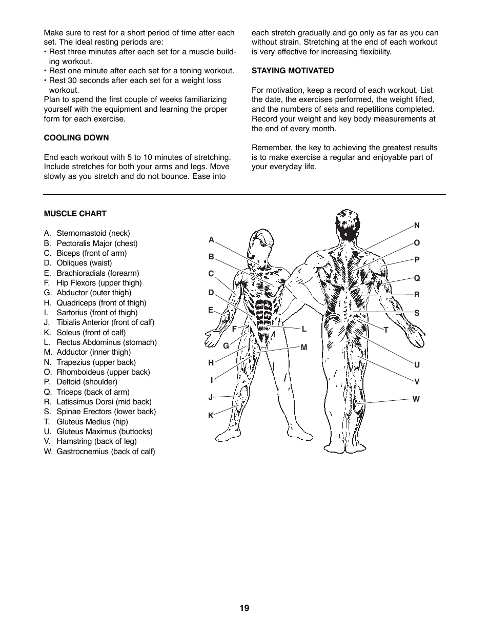 Weider WEBE29300 User Manual | Page 19 / 23