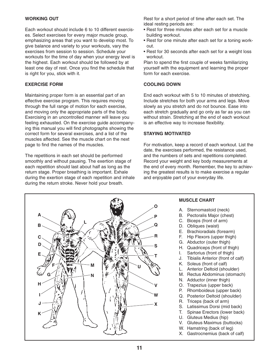 Weider 831.150341 User Manual | Page 11 / 15