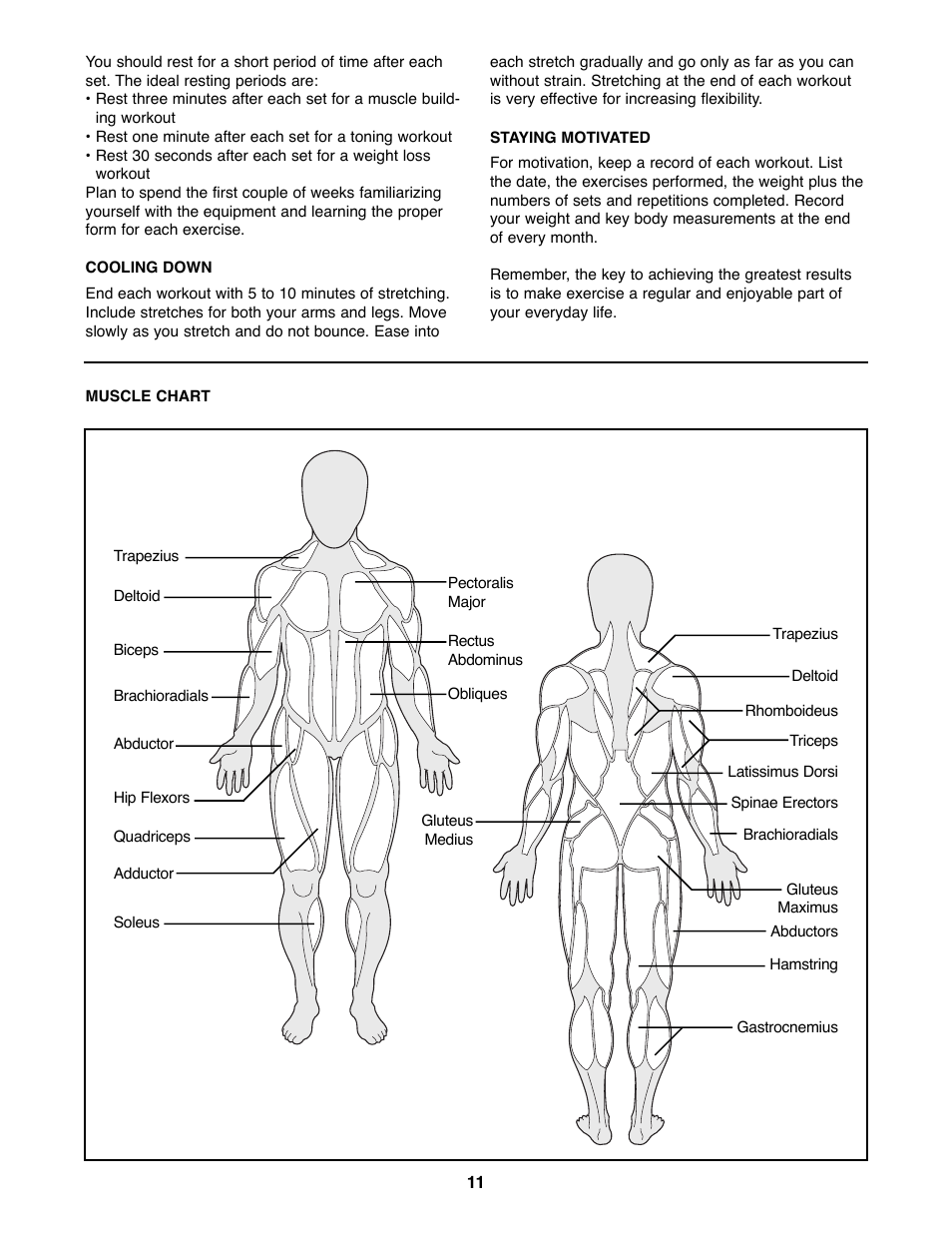 Weider WEBE03690 User Manual | Page 11 / 15
