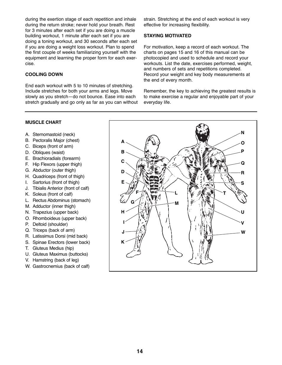 Weider 500 User Manual | Page 14 / 20