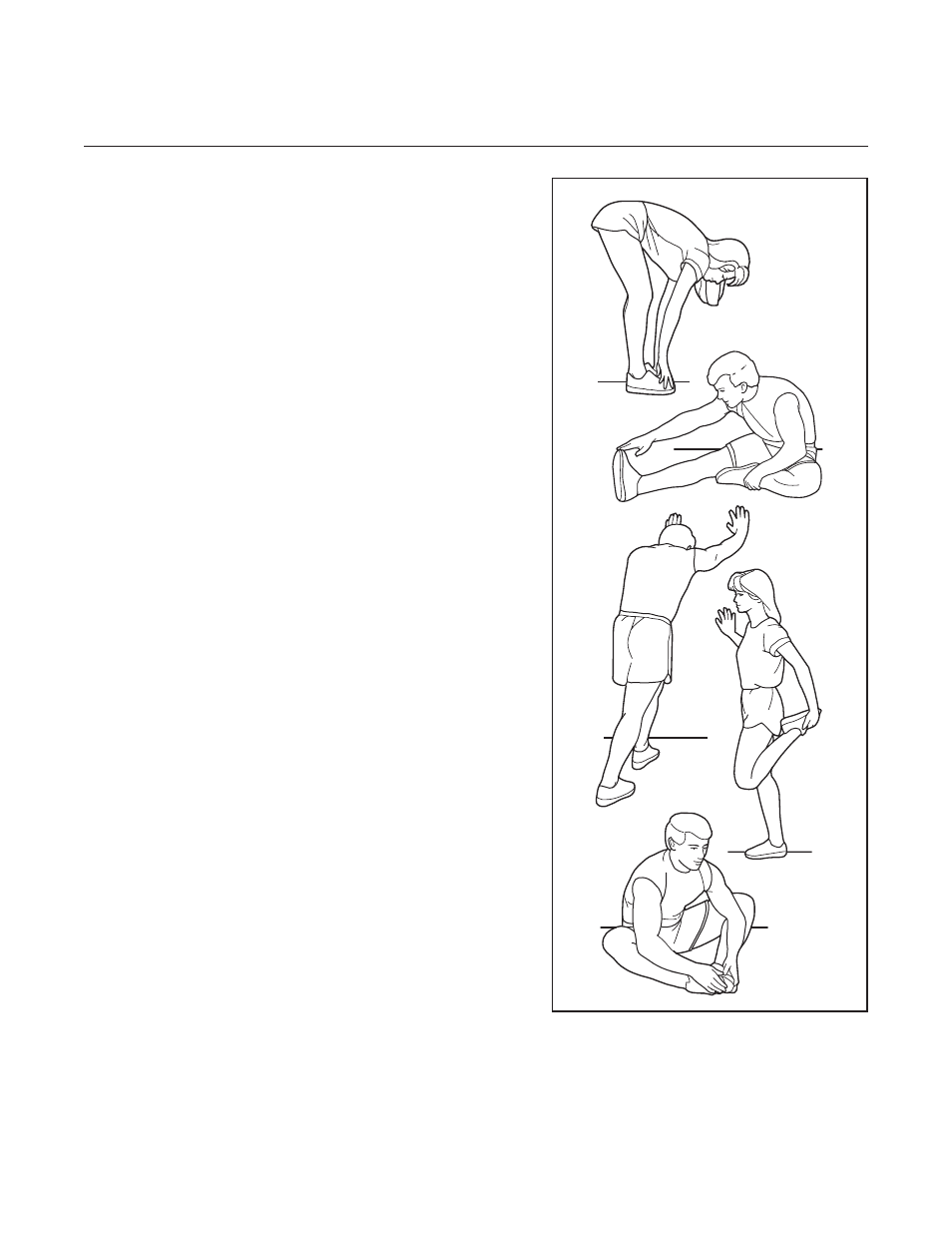 Weslo WLTL39112 User Manual | Page 15 / 18
