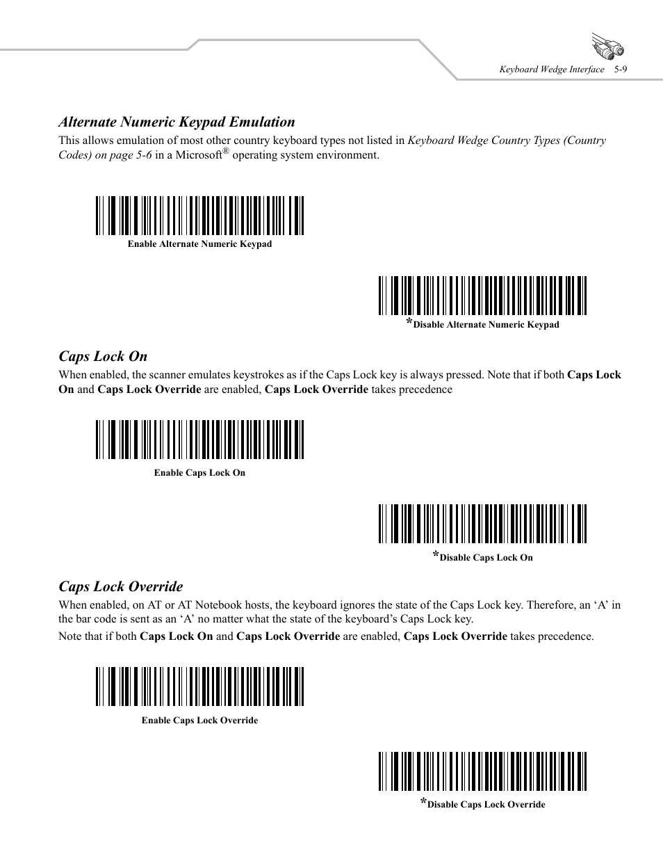 Alternate numeric keypad emulation, Caps lock on, Caps lock override | Wasp Bar Code WLS 9500 User Manual | Page 55 / 189