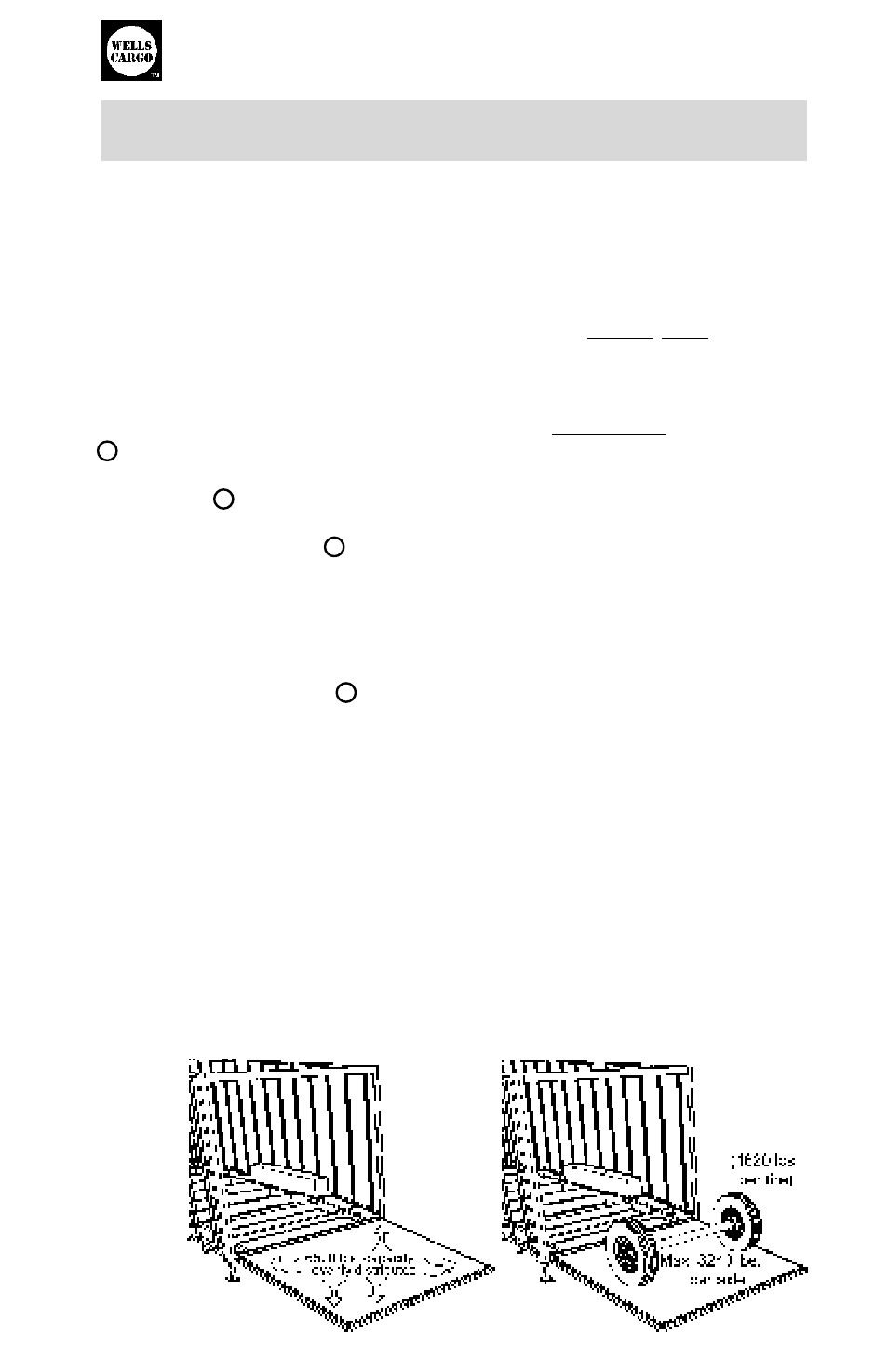 Misc. information, Wells cargo, Owner’s manual | Wells Fargo Automobile Accessories User Manual | Page 25 / 28