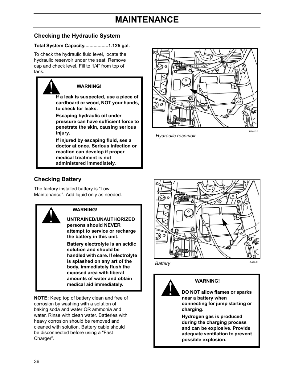 Maintenance | Yazoo/Kees ZHDD61270 User Manual | Page 38 / 64