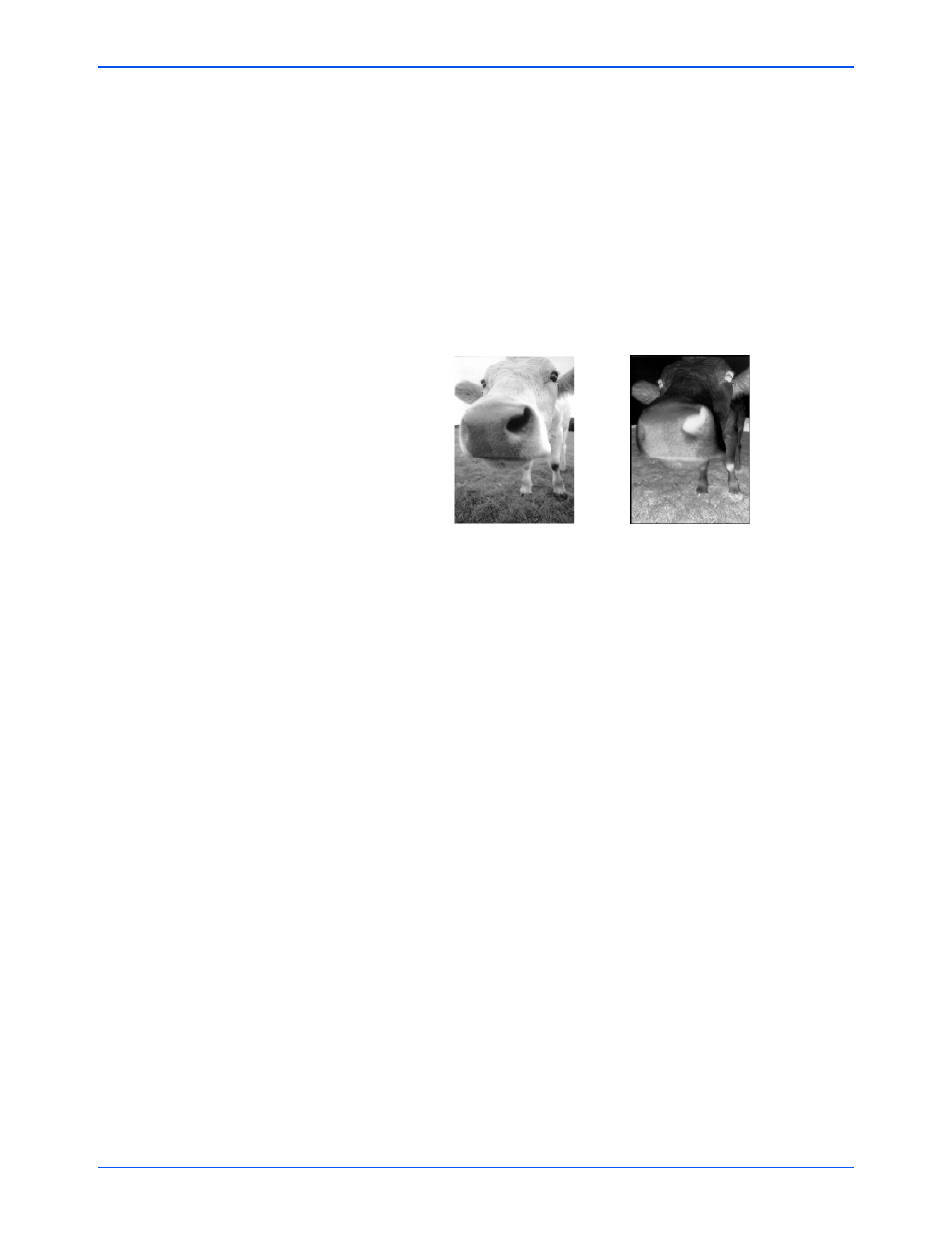 Xerox DocuMate 272 User Manual | Page 59 / 127