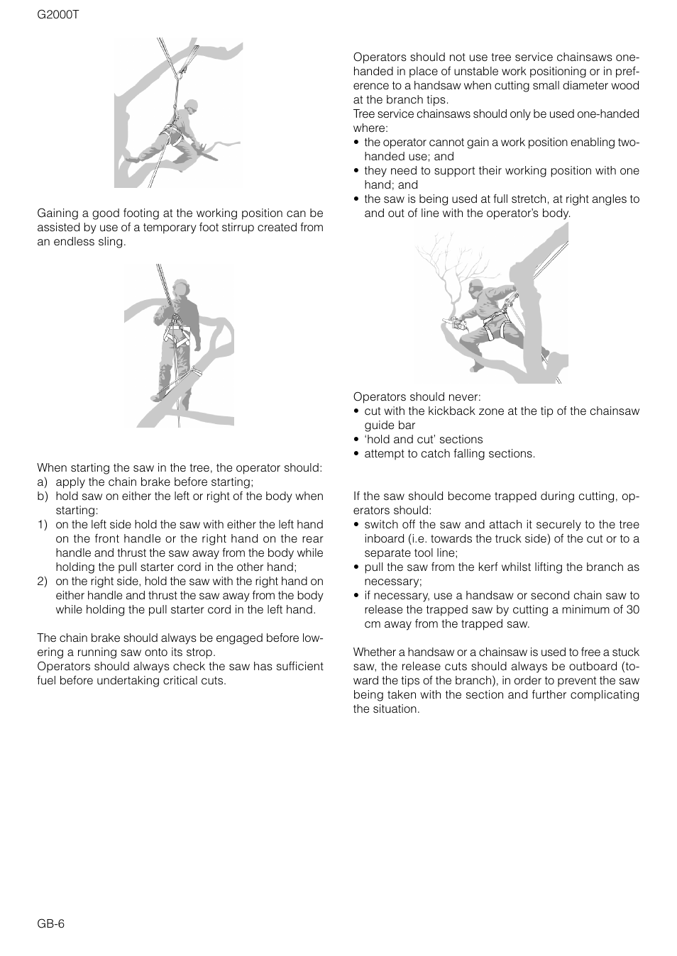 Zenoah G2000T User Manual | Page 6 / 16