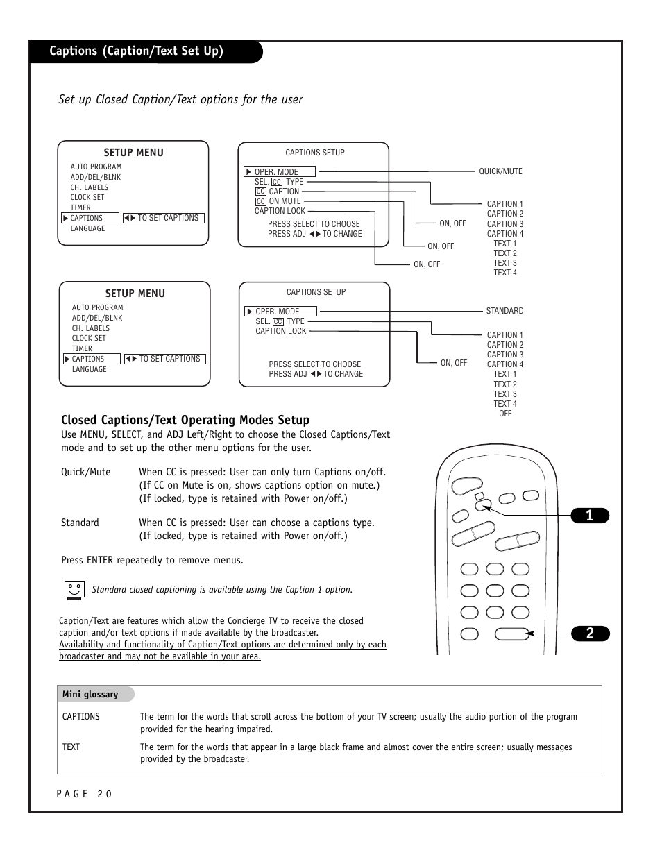 Captions (caption/text set up), Setup menu | Zenith CONCIERGE H25F39DT User Manual | Page 20 / 44