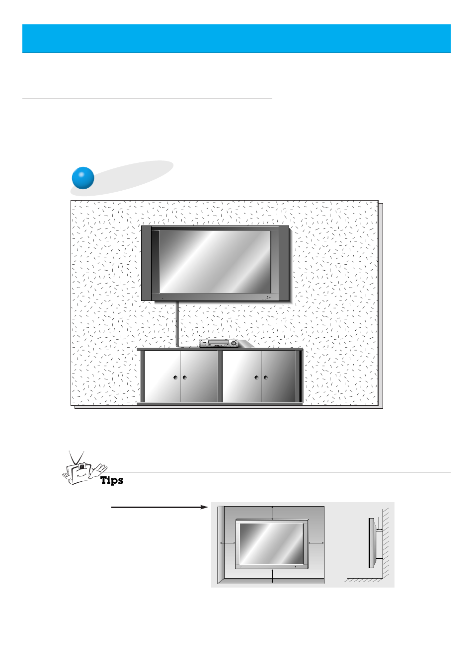 Monitor installation, Wall mount installation | Zenith P60W26 User Manual | Page 12 / 59