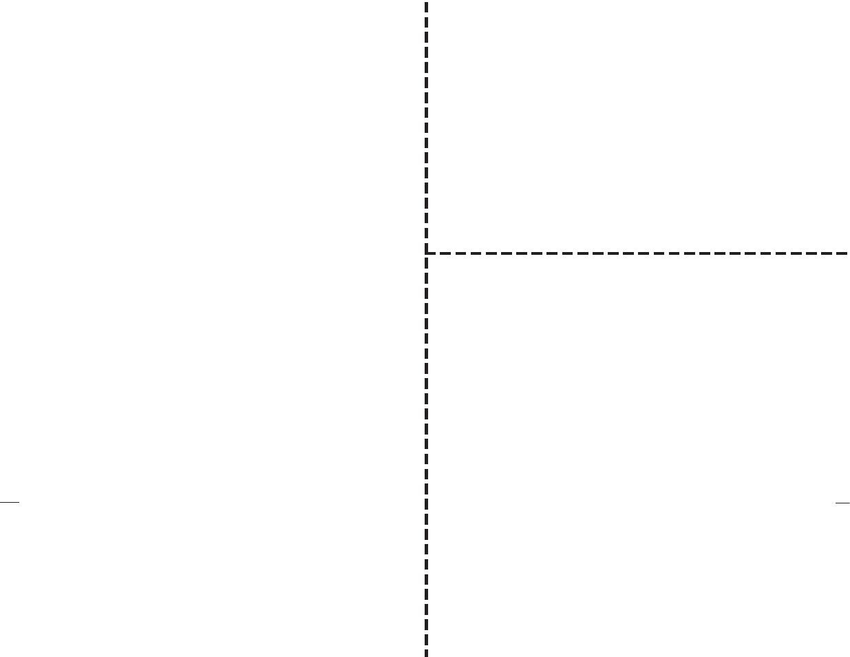 X10 Wireless Technology VA13A User Manual | 2 pages