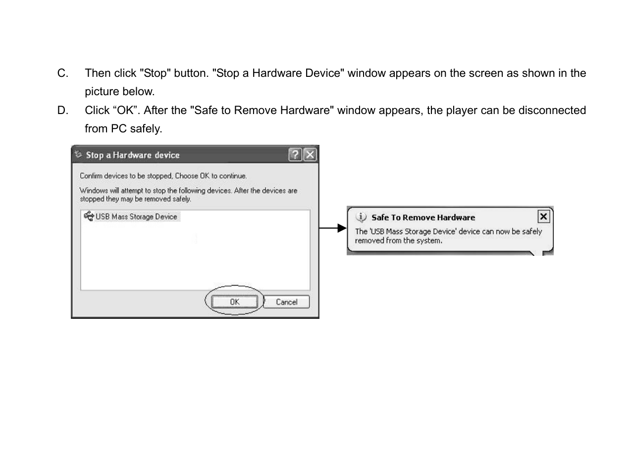 X-Micro Tech. EVA 310 User Manual | Page 11 / 29