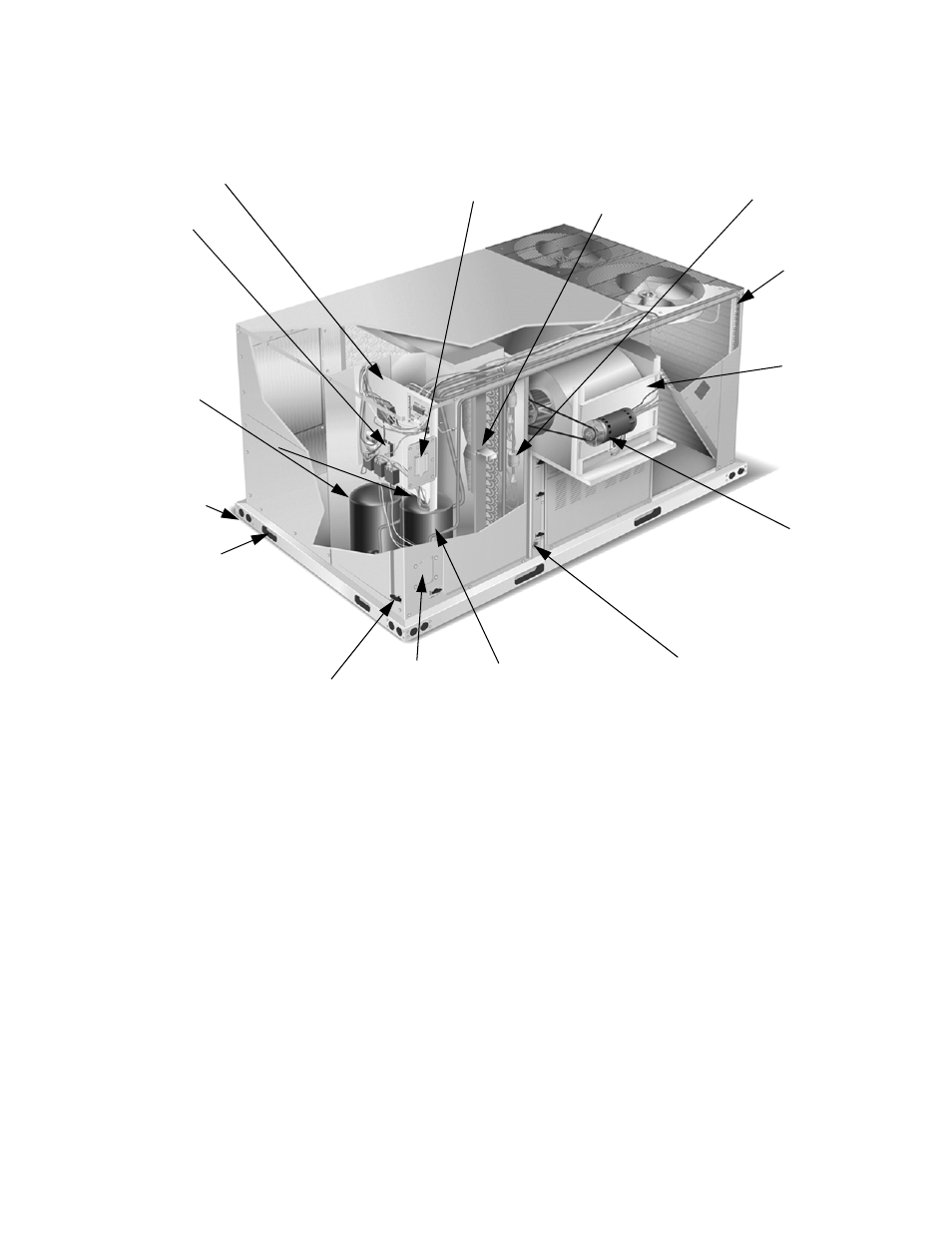 Features | York PREDATOR BP 090 User Manual | Page 3 / 36