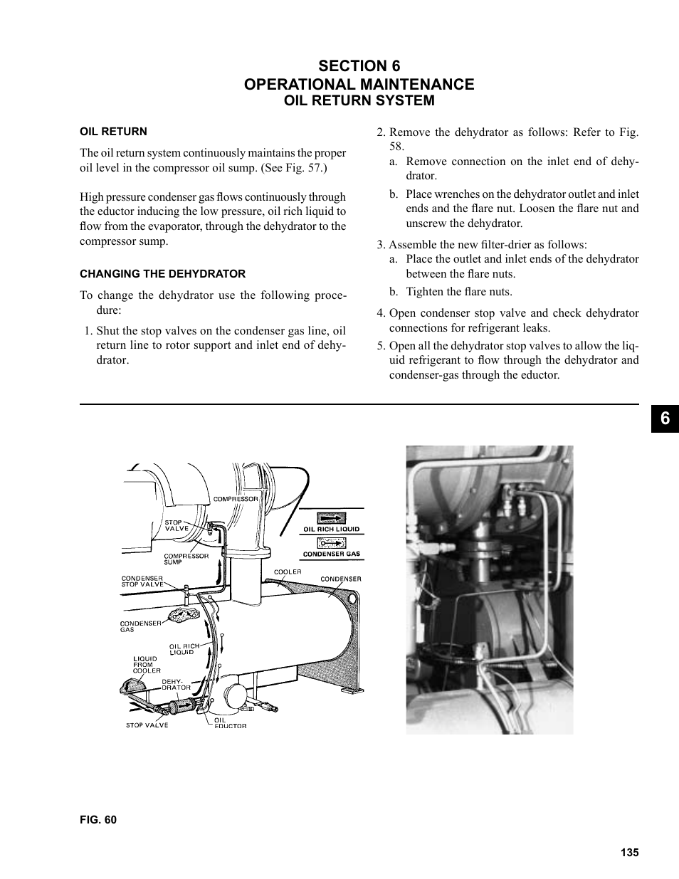 Section 6, Oil return system | York R123 User Manual | Page 135 / 156