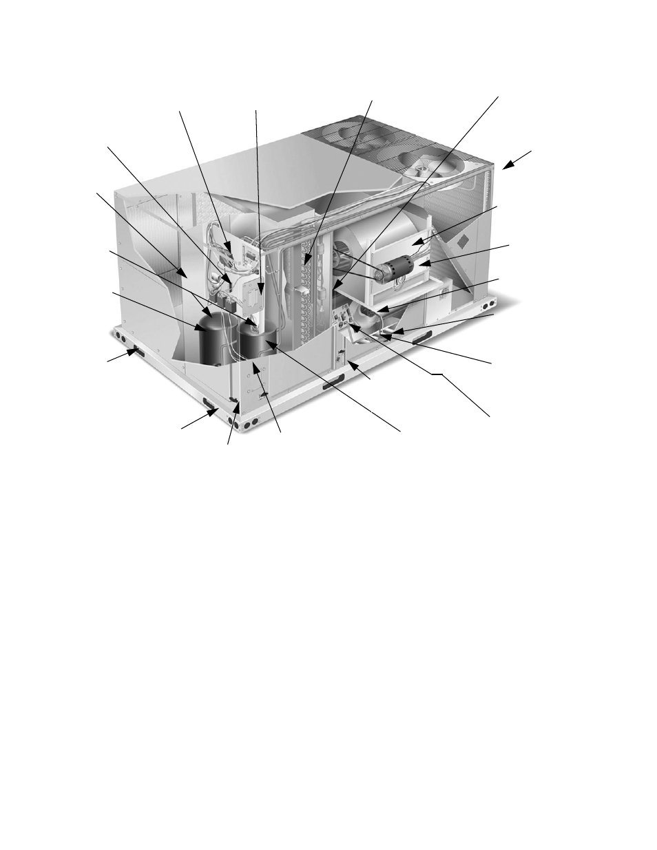 York PREDATOR DR090 User Manual | Page 4 / 64