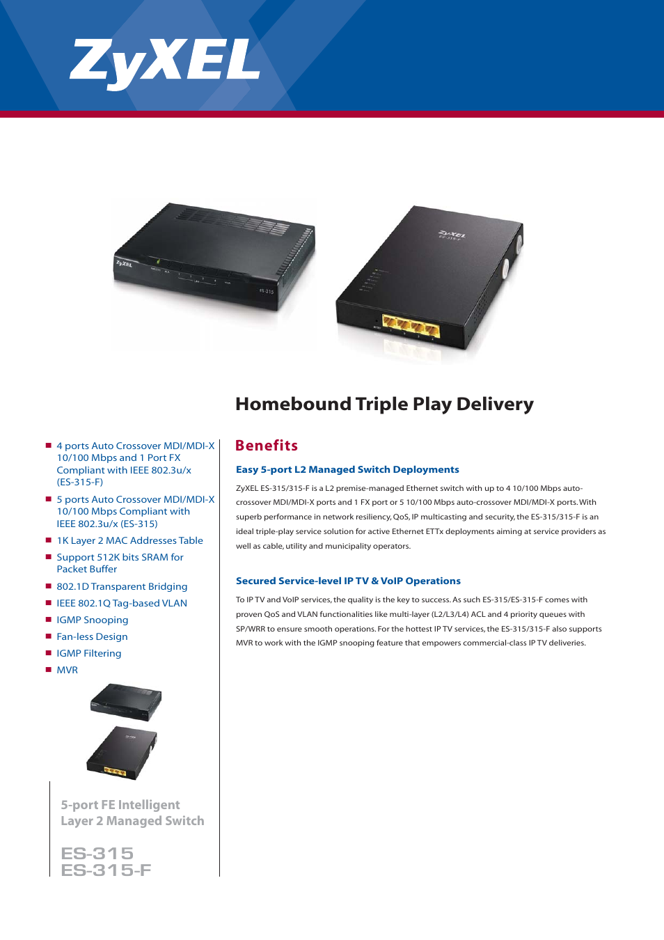 ZyXEL Communications HOMEBOUND TRIPLE PLAY DELIVERY ES-315 User Manual | 2 pages