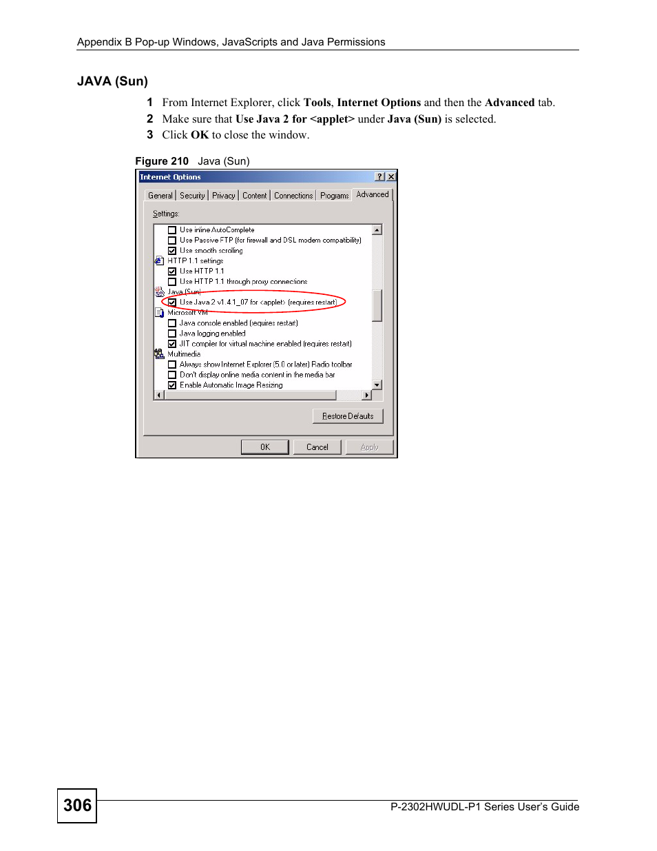 Figure 210 java (sun) | ZyXEL Communications P-2302HWUDL-P1 Series User Manual | Page 306 / 368