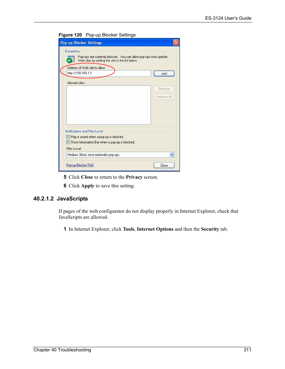 2 javascripts, Figure 120 pop-up blocker settings | ZyXEL Communications LAYER 3 ES-3124 User Manual | Page 313 / 337