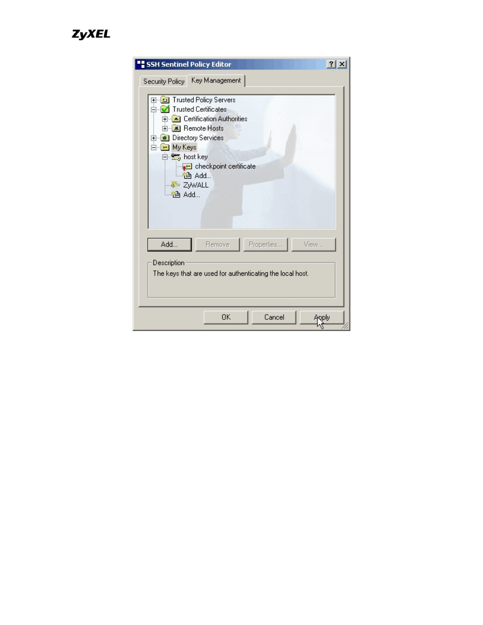 ZyXEL Communications P-202 User Manual | Page 274 / 434