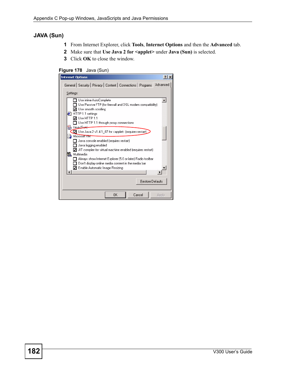 Figure 178 java (sun) | ZyXEL Communications V300 User Manual | Page 182 / 204