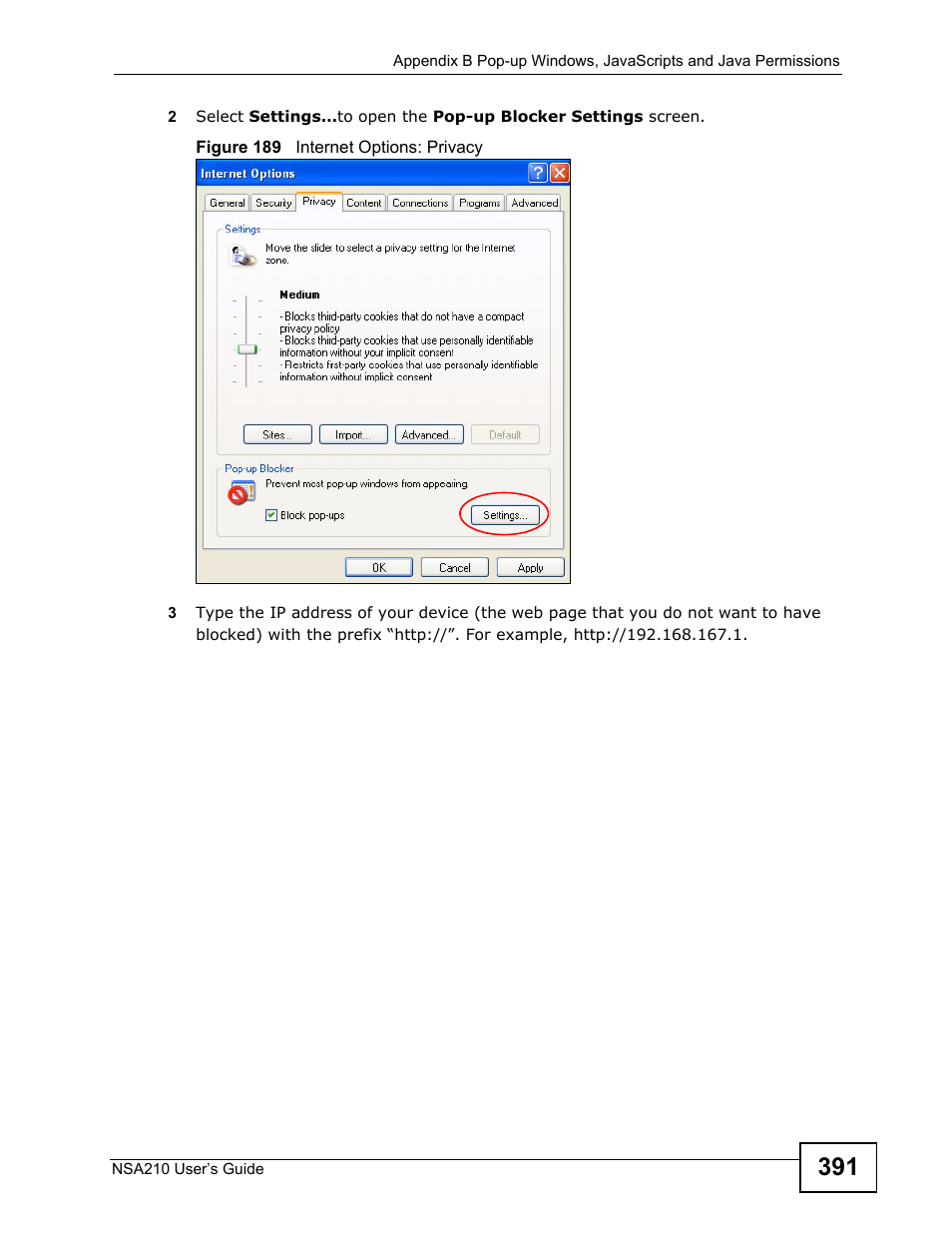 ZyXEL Communications NSA210 User Manual | Page 391 / 482