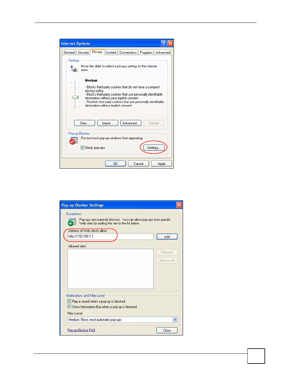 Figure 123 internet options: privacy, Figure 124 pop-up blocker settings | ZyXEL Communications NSA-220 User Manual | Page 181 / 234