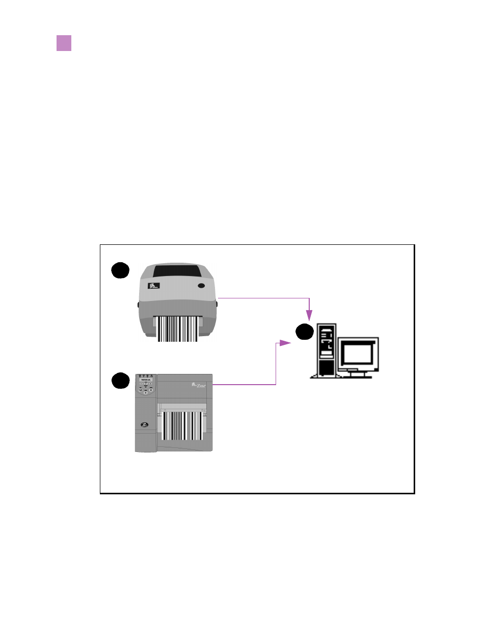 Overview, Illustration | Zebra Technologies PrintServer User Manual | Page 21 / 157