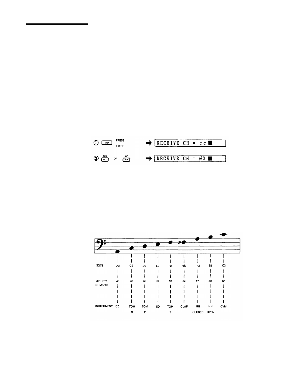 Midi parameters | Yamaha RX21 User Manual | Page 42 / 62