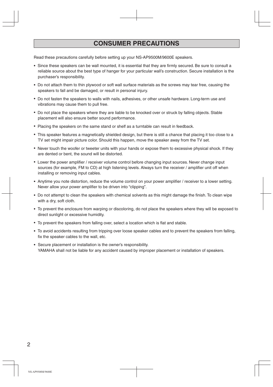 Consumer precautions | Yamaha NS-AP9500M User Manual | Page 2 / 10