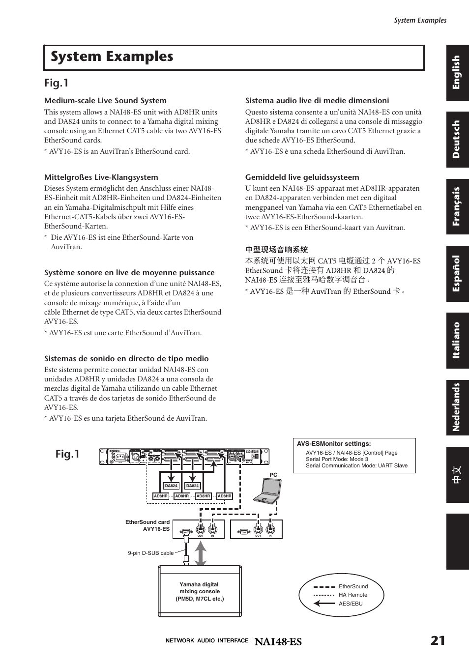 System examples, Fig.1 | Yamaha NAI48-ES User Manual | Page 6 / 12