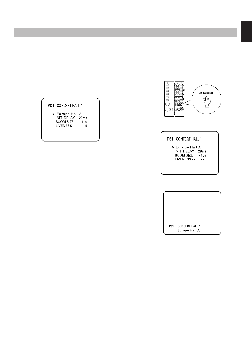 On screen display, Selecting a type of display, English | Yamaha RX V2095RDS User Manual | Page 29 / 90