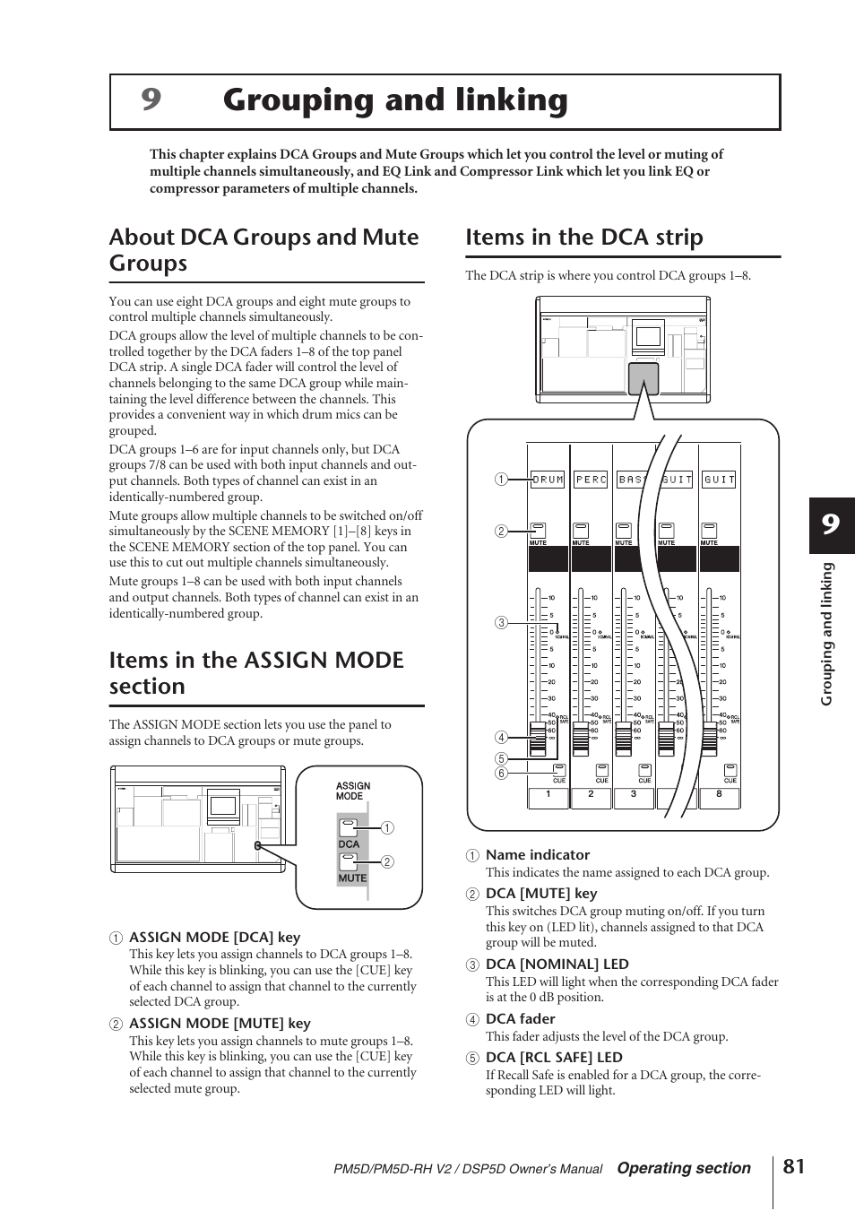 Grouping and linking, About dca groups and mute groups, Items in the assign mode section | Items in the dca strip, P.81), 9grouping and linking | Yamaha DSP5D User Manual | Page 81 / 409