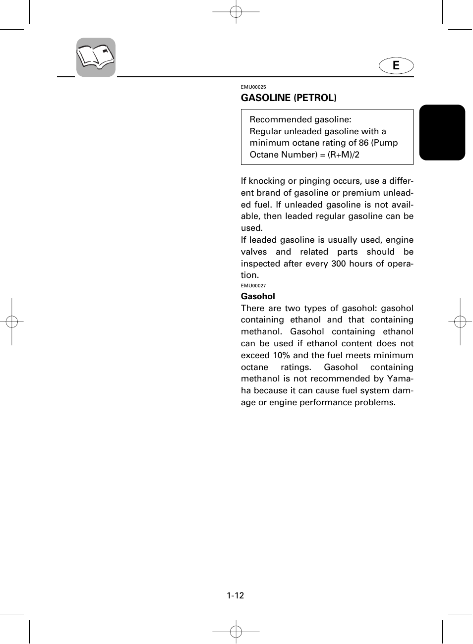 Yamaha F100A User Manual | Page 19 / 115