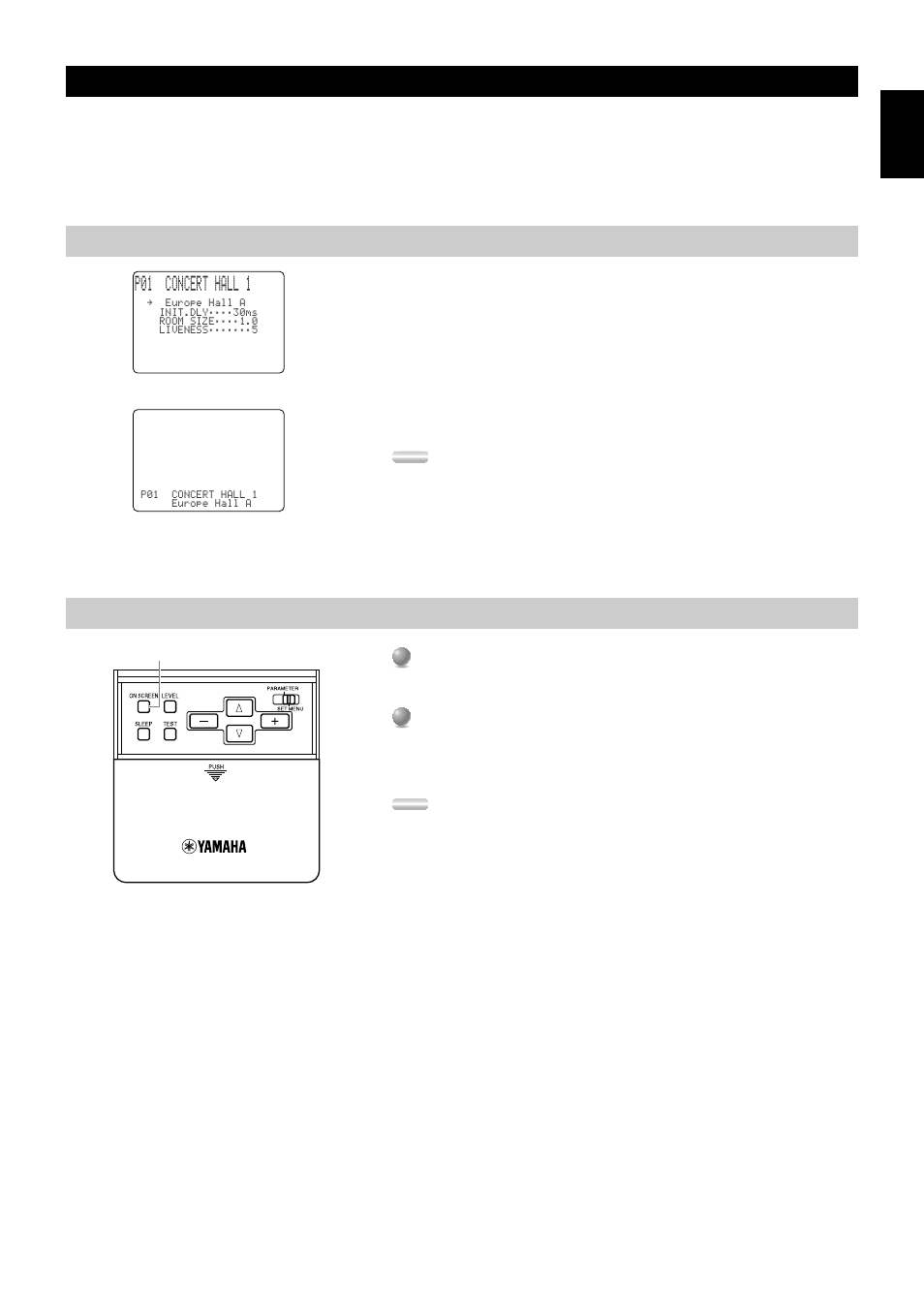 On-screen displays (osd), Osd modes, Selecting the osd mode | 19 on-screen displays (osd), P01 concert hall 1 | Yamaha RXV3000RDS User Manual | Page 21 / 78