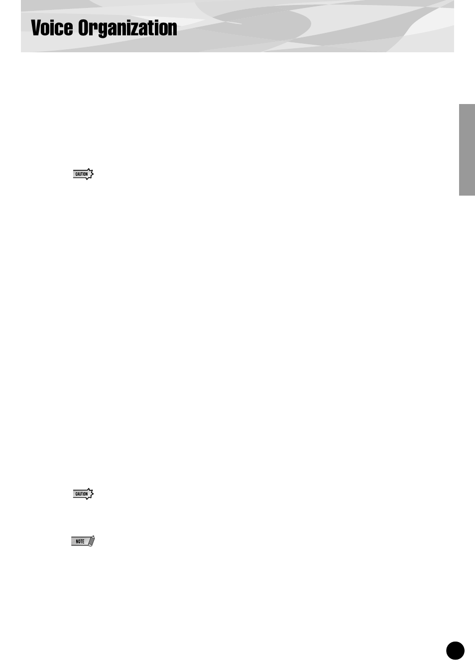 Voice organization | Yamaha PLG150-VL User Manual | Page 13 / 56