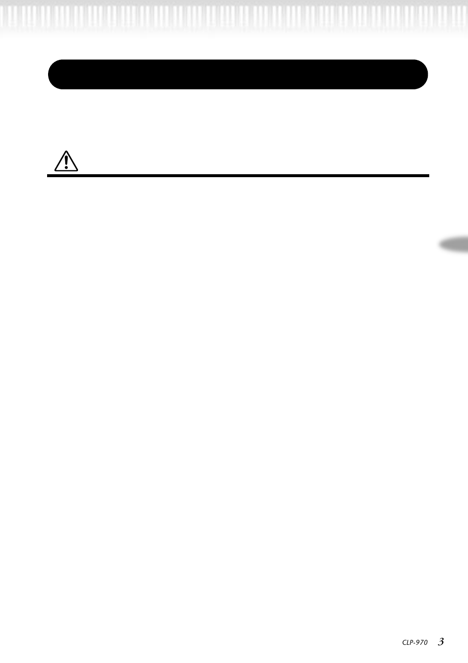 Precautions, Please read carefully before proceeding, Warning | Yamaha CLP-970C EN User Manual | Page 3 / 114