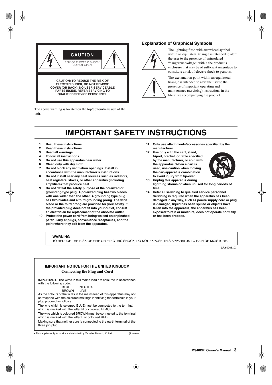 Important safety instructions, Explanation of graphical symbols, Caution | Yamaha MS40DR  EN User Manual | Page 3 / 8